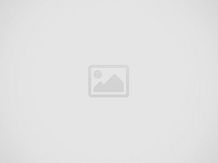 정부의 세금 정책이 가계 소비에 미치는 영향 분석