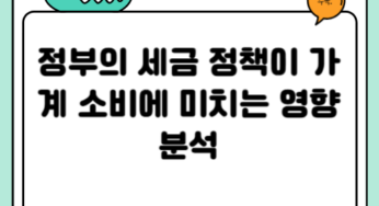 정부의 세금 정책이 가계 소비에 미치는 영향 분석