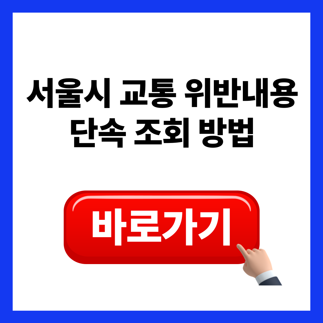 서울시 교통 위반내용 및 단속 조회방법